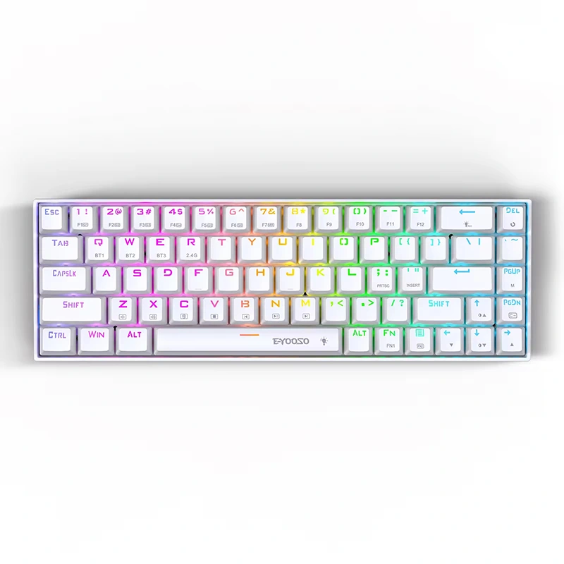 68 键 RGB 无线 BT 2.4GHz 机械游戏键盘